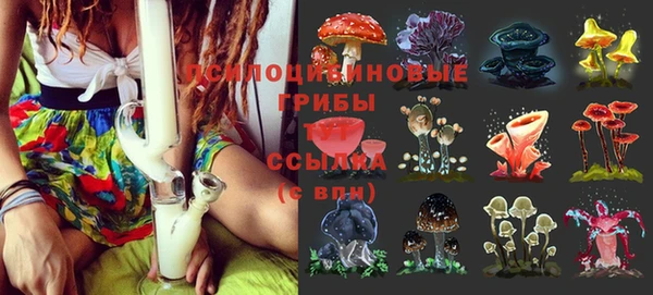 гидра Кулебаки
