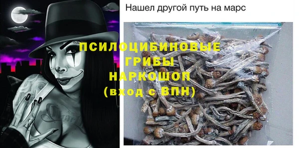 гидра Кулебаки
